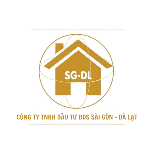lĩnh vực hoạt động